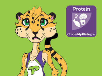 Illustration of Chia the cheetah and protein icon